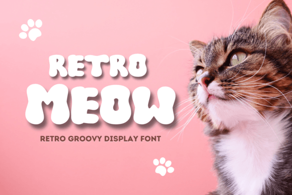 Retro Meow: A Fun Display Font for Bold Campaigns